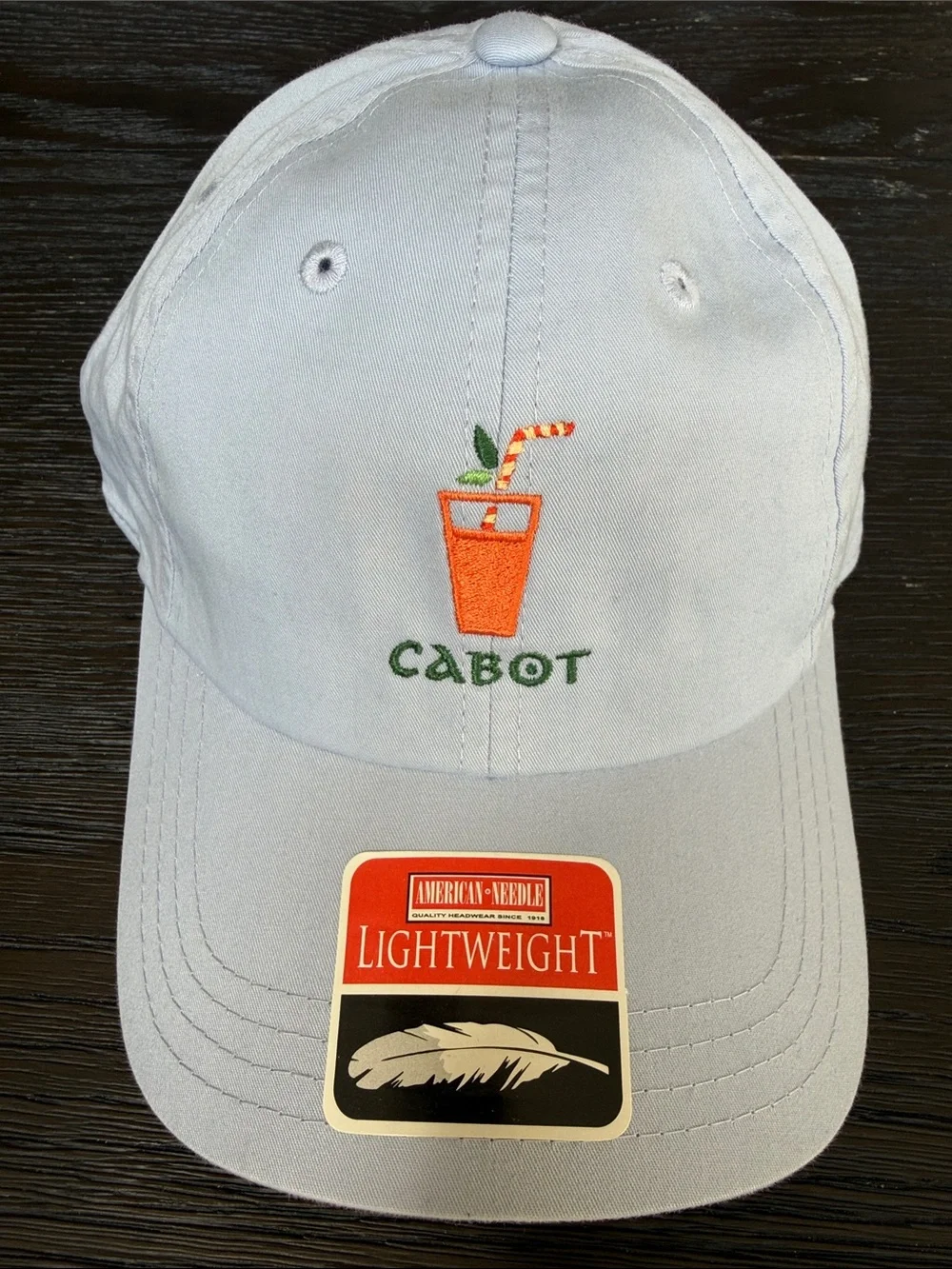 American Needle Light Blue 'Cabot' Embroidered Juice Cap